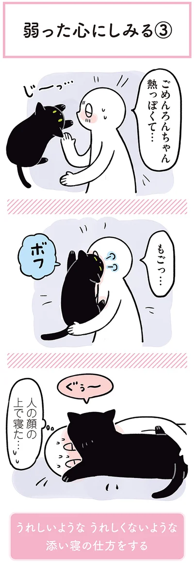 『黒猫ろんと暮らしたら２』より