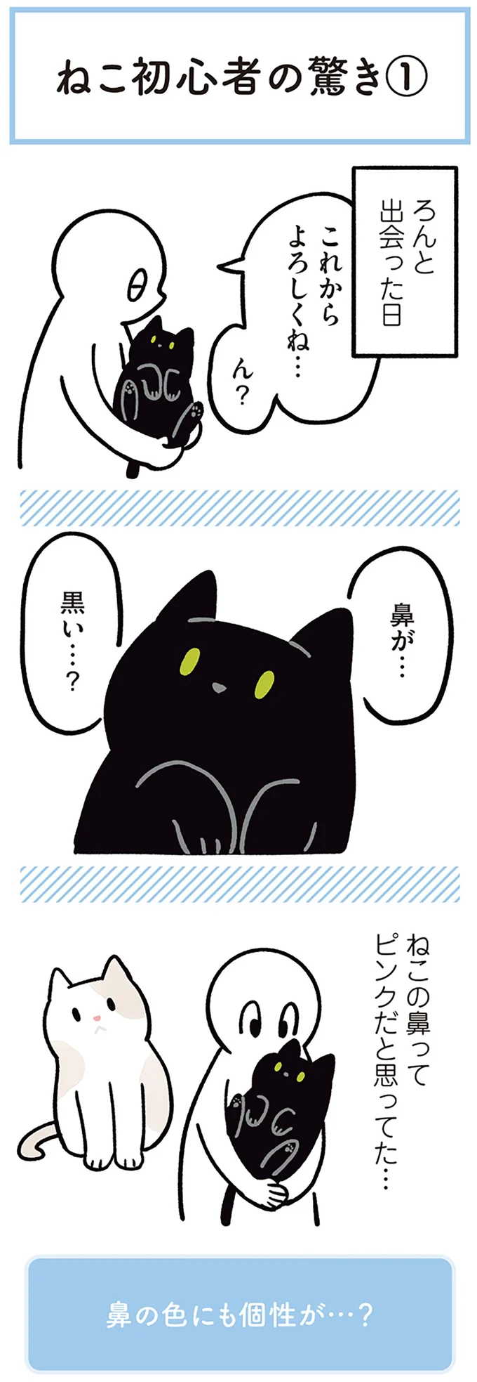 『黒猫ろんと暮らしたら２』より