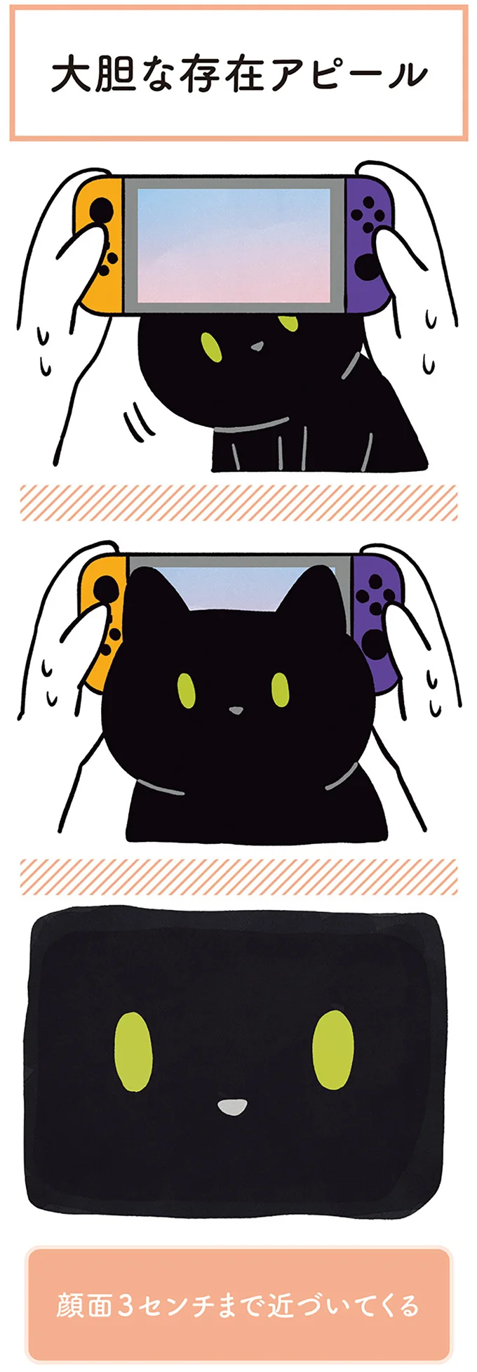 『黒猫ろんと暮らしたら２』より