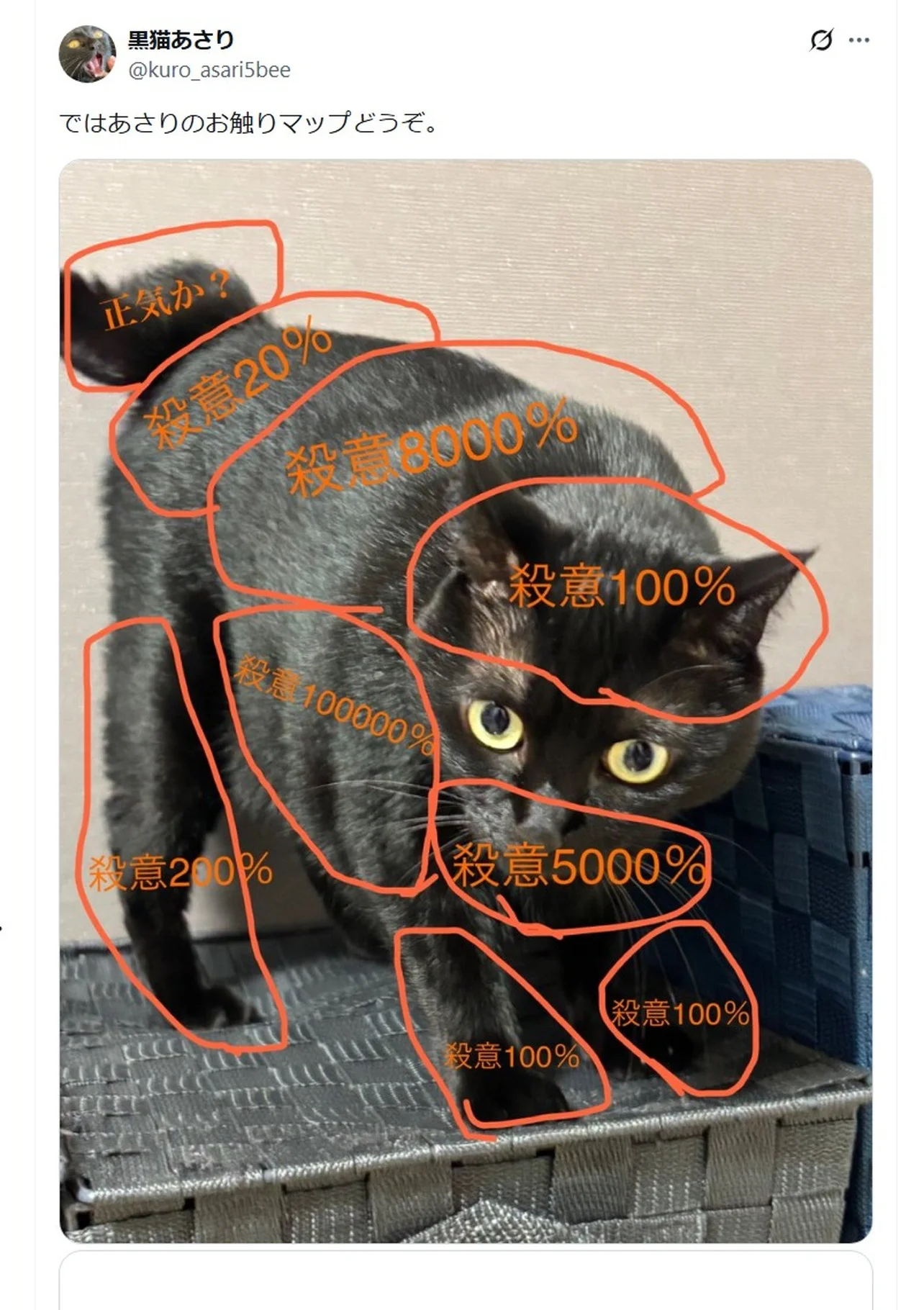 飼い猫の「お触りマップ」を公開→“危険地帯”だらけで「どこも触れない