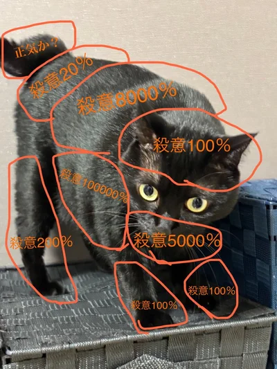 危険地帯だらけなお触りマップ▶あさりちゃんの爪切りは大変？（⇒次へ）