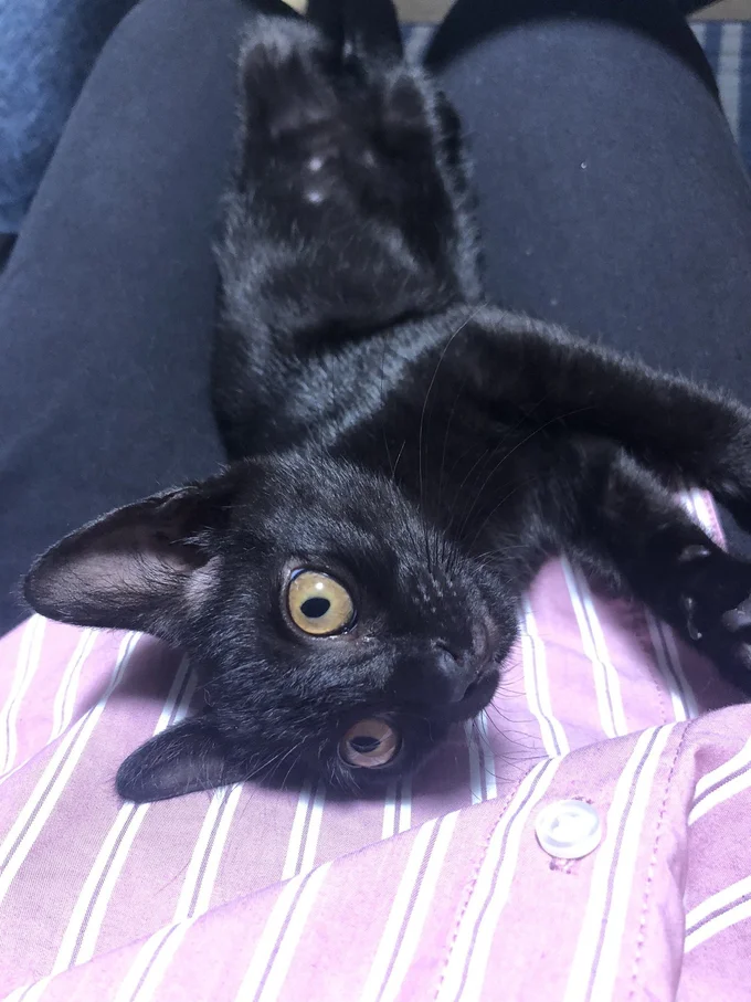 愛情を一身に受けてすくすく育ちました！▶あさりちゃん日向ぼっこ中（⇒次へ）