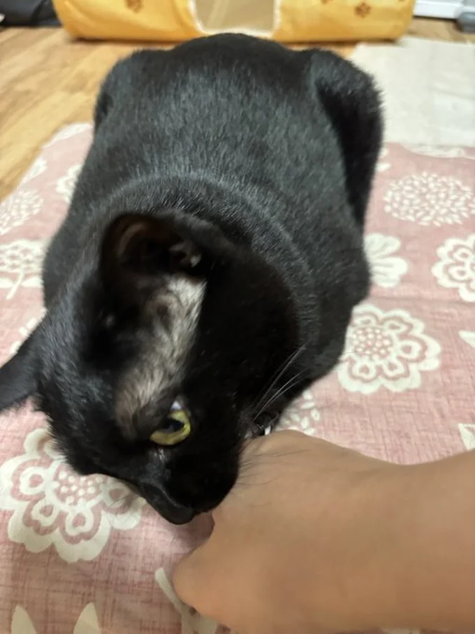 下に手は入れさせない！▶まだ怒ってる？（⇒次へ）