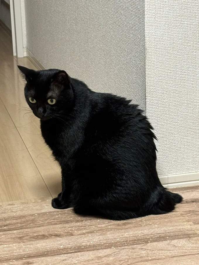 オコの名残りあり▶爪切りさせて～（⇒次へ）