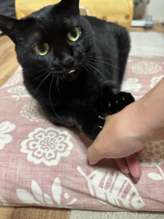 あさりちゃんのデレは格別のかわいさです…▶ワイルドな表情も（⇒次へ）