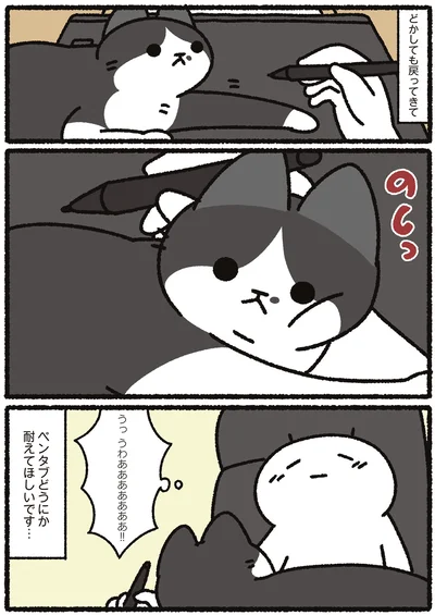 『あっち こっち ネッチ！』より