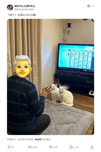 「待て」を練習中なのは犬ではなくて…▶賢いふたり（⇒次へ）