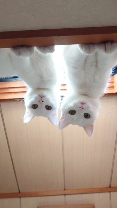 朝から幸せな光景▶たまにはイレギュラーな日もある（⇒次へ）