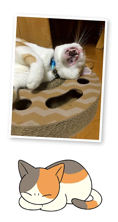 なんか居る！？