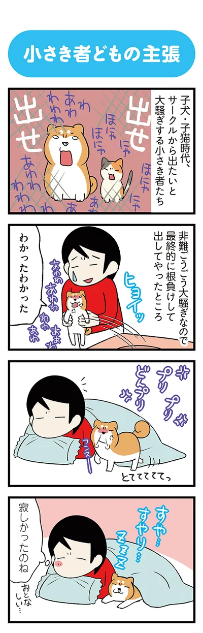 『うちう猫と柴犬』より