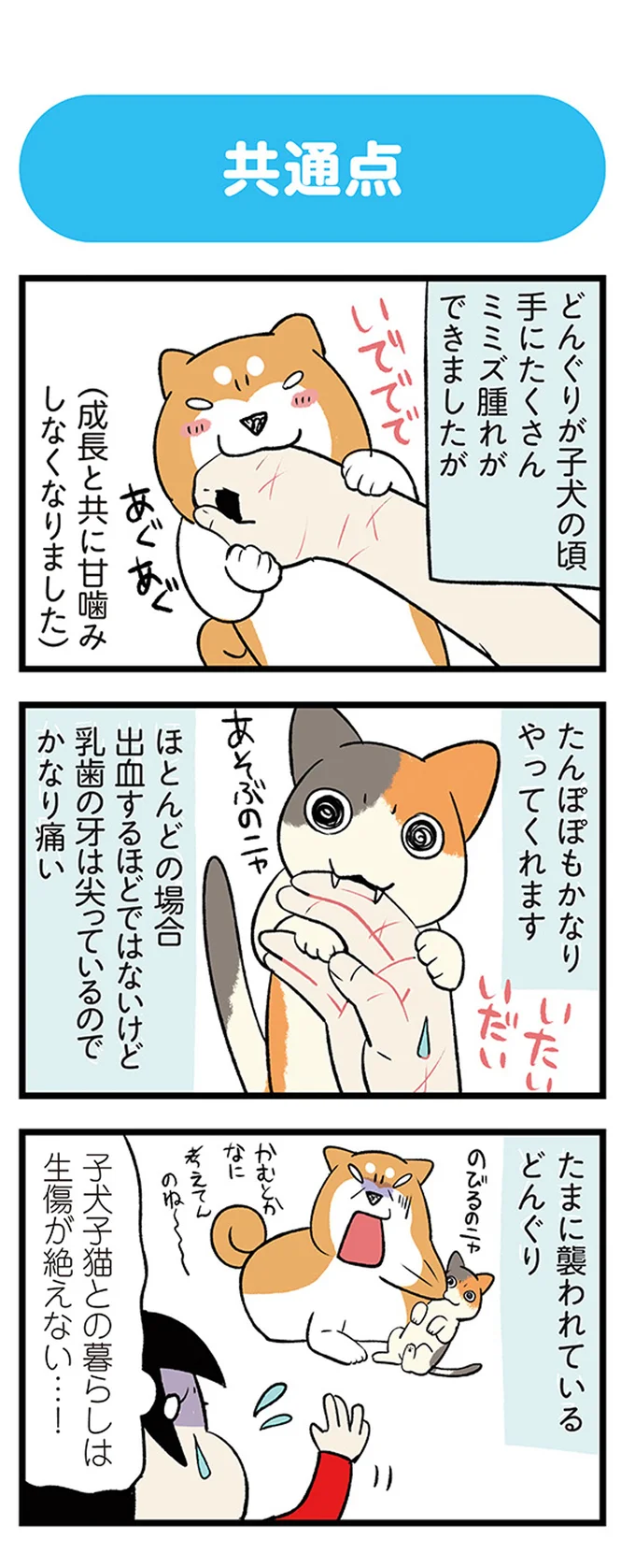 『うちう猫と柴犬』より