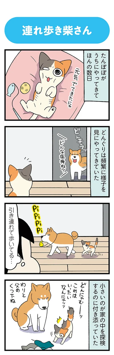どんな塩梅ね？