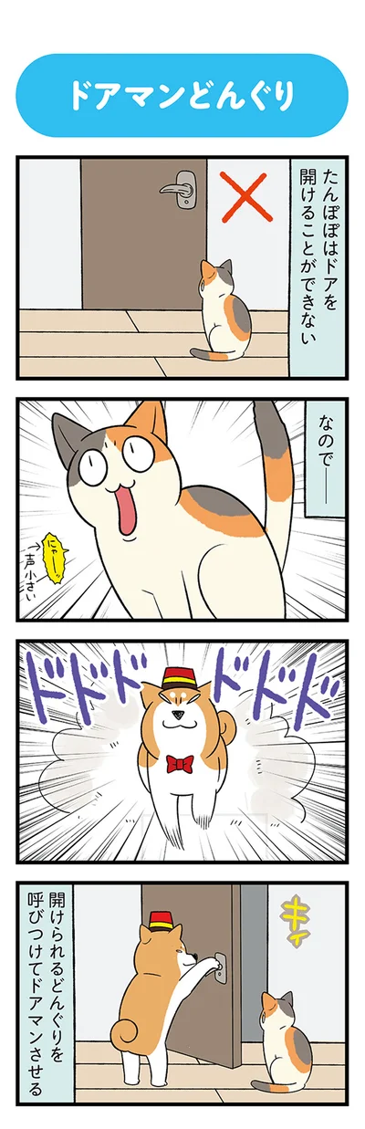 ドアを開けることができない　なので