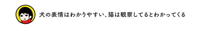 犬の表情はわかりやすい、猫は観察してるとわかってくる