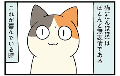 猫はほとんど無表情である