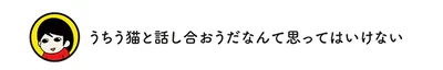 うちう猫と話し合おうだなんて思ってはいけない