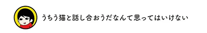 うちう猫と話し合おうだなんて思ってはいけない