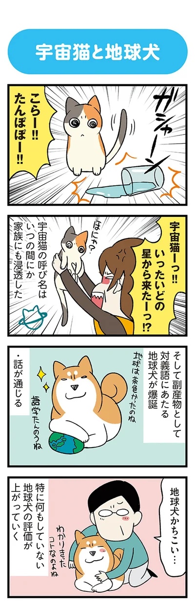 地球犬が爆誕