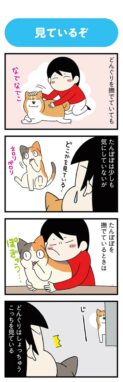 しょっちゅうこっちを見ている