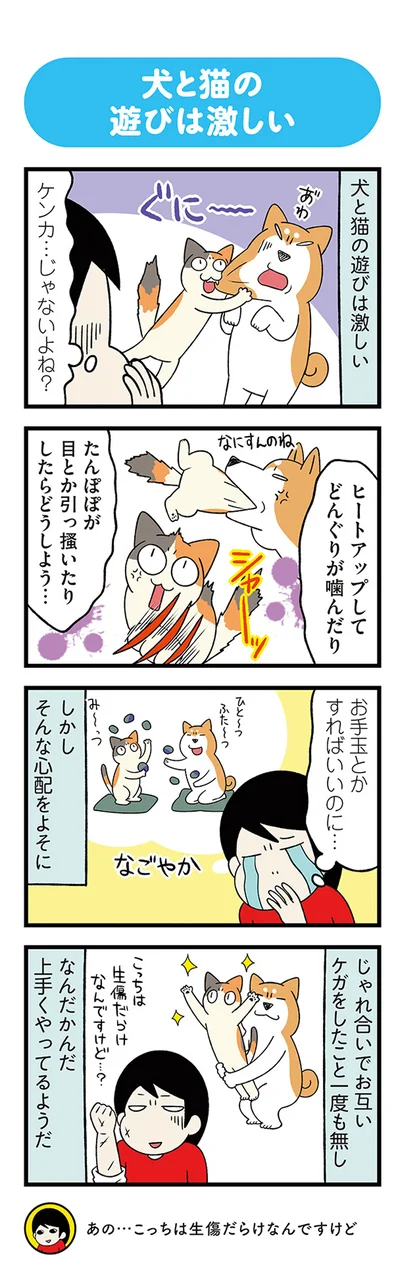 ケンカ…じゃないよね？