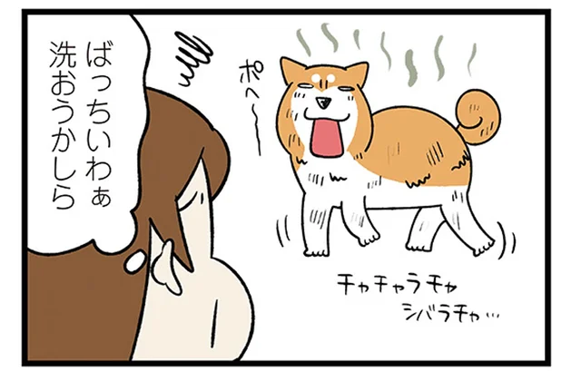 何も言ってないのに察した!? 危険を感じた柴犬のダッシュ