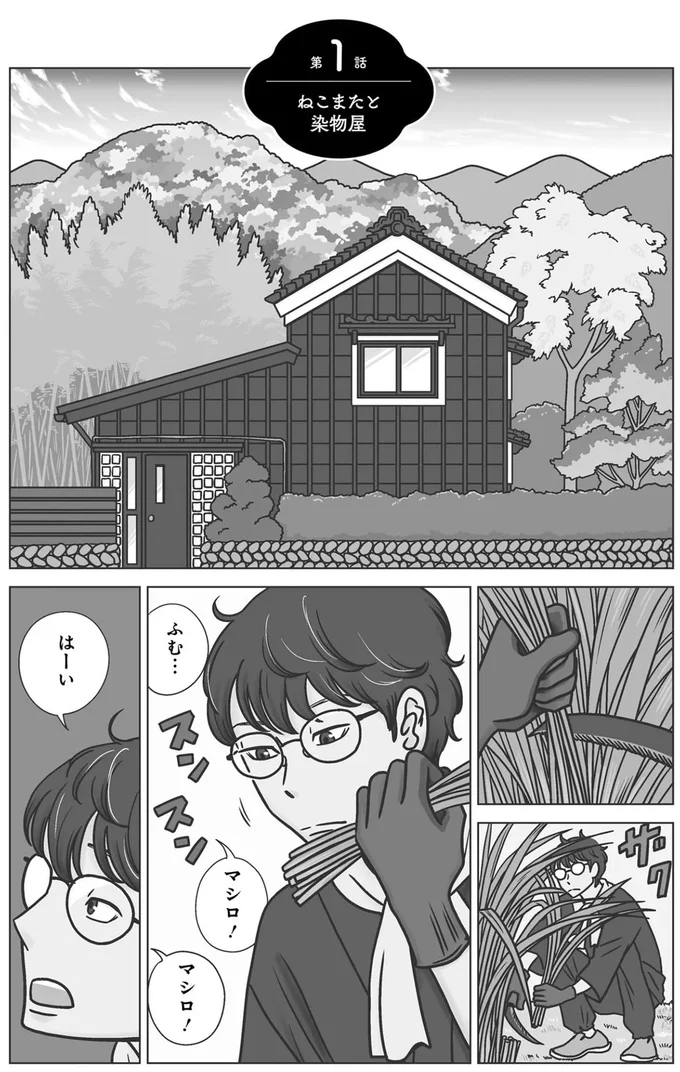 マシロ!マシロ!