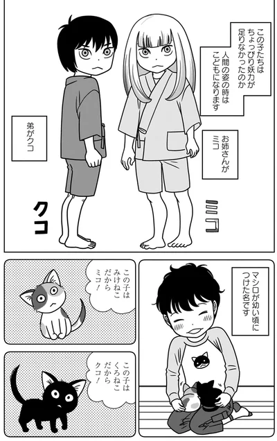 『ねこまた印の染物屋さん』より