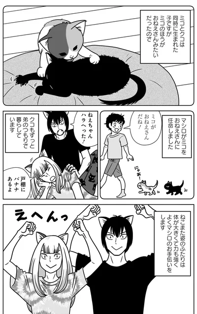 『ねこまた印の染物屋さん』より