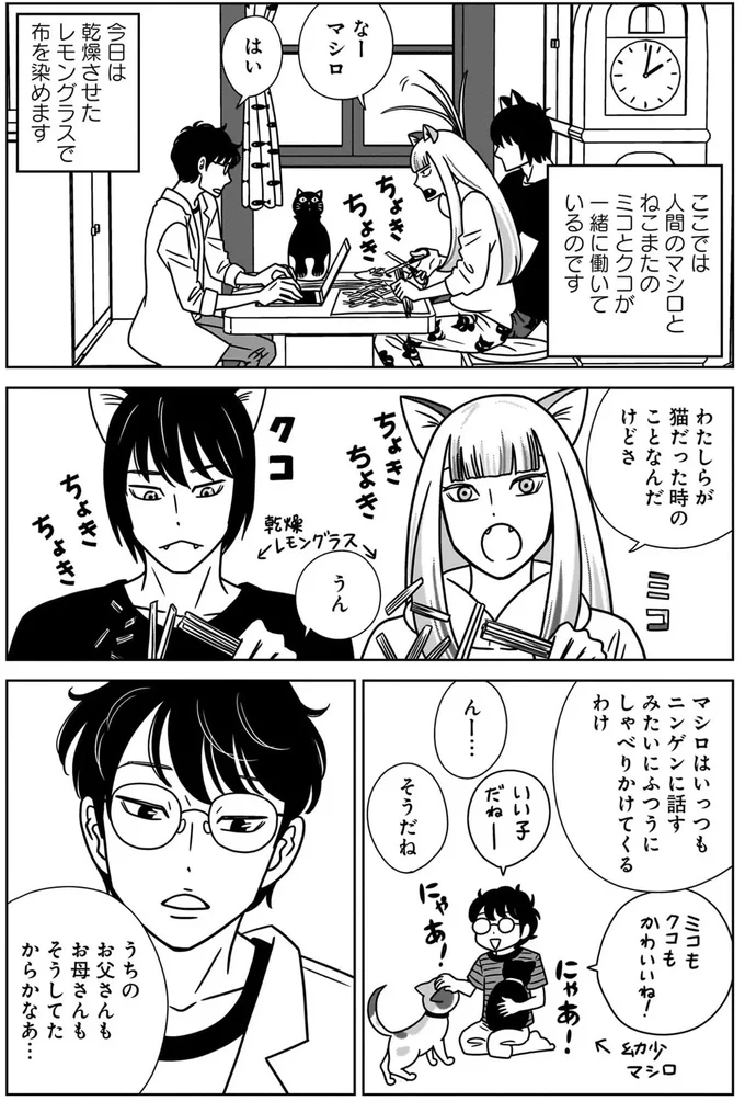 『ねこまた印の染物屋さん』より