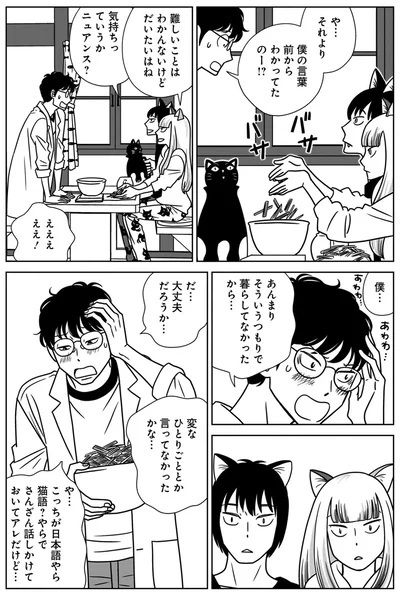 『ねこまた印の染物屋さん』より