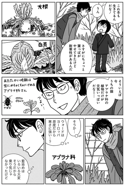 『ねこまた印の染物屋さん』より