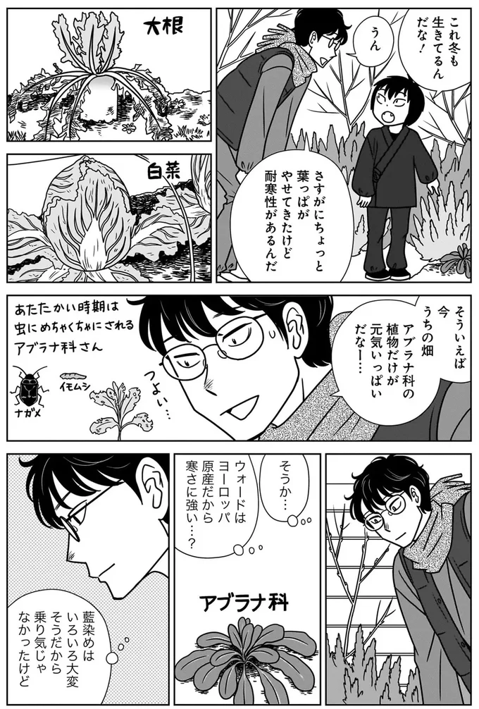 『ねこまた印の染物屋さん』より