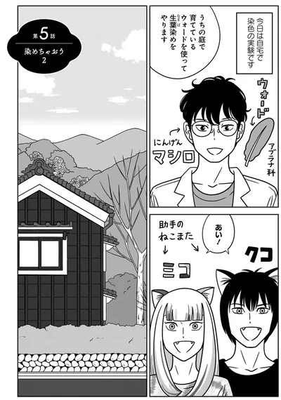 『ねこまた印の染物屋さん』より