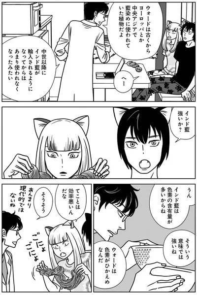 『ねこまた印の染物屋さん』より