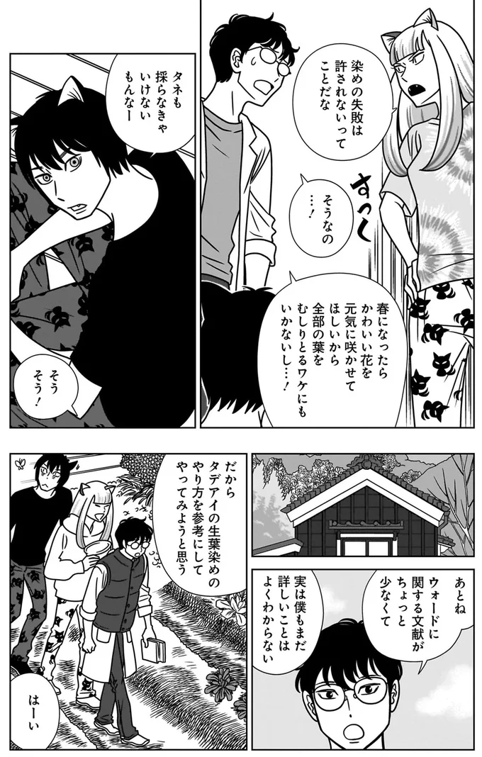 『ねこまた印の染物屋さん』より