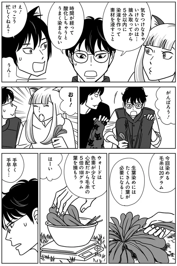 『ねこまた印の染物屋さん』より