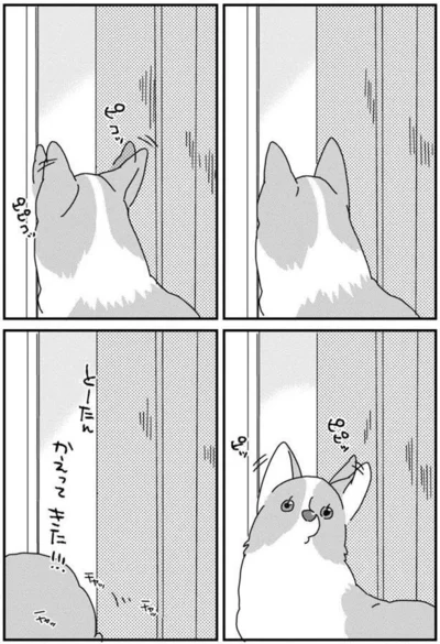 『あしょんでよッ 〜うちの犬ログ〜3』より