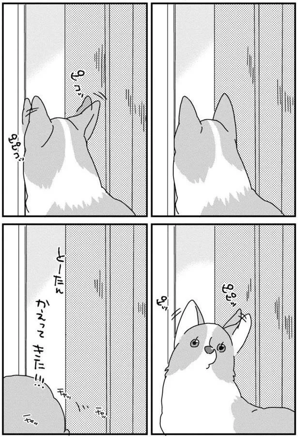 『あしょんでよッ 〜うちの犬ログ〜3』より