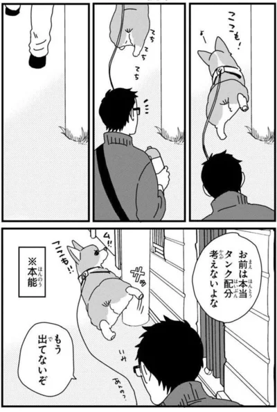 『あしょんでよッ 〜うちの犬ログ〜3』より