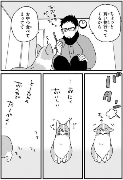 『あしょんでよッ 〜うちの犬ログ〜3』より