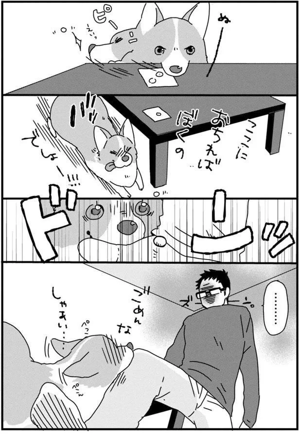 『あしょんでよッ 〜うちの犬ログ〜3』より