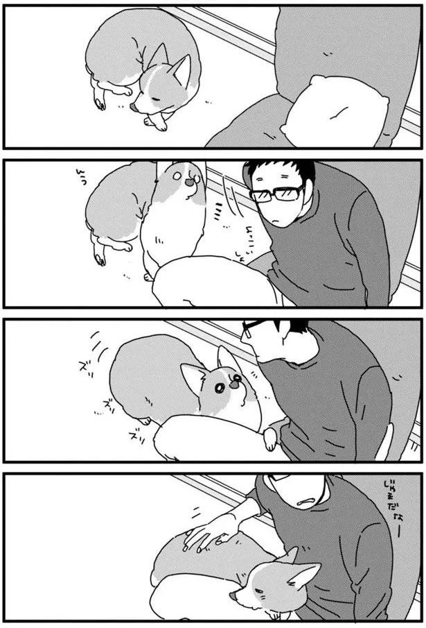 『あしょんでよッ 〜うちの犬ログ〜3』より