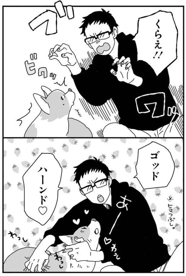 『あしょんでよッ 〜うちの犬ログ〜3』より