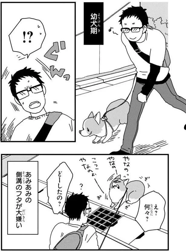 『あしょんでよッ 〜うちの犬ログ〜3』より