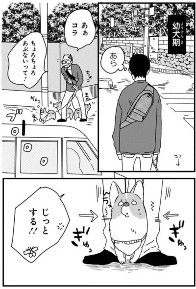 『あしょんでよッ 〜うちの犬ログ〜3』より