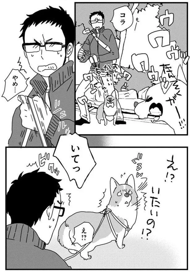 『あしょんでよッ 〜うちの犬ログ〜3』より