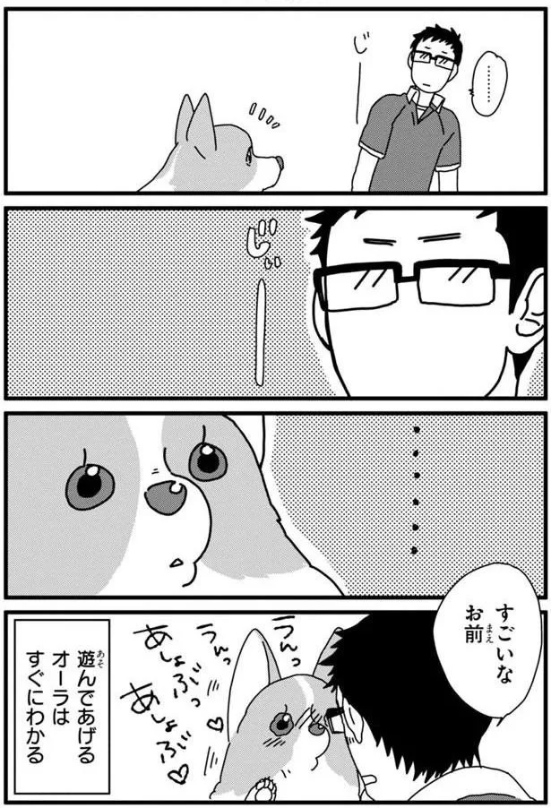 『あしょんでよッ 〜うちの犬ログ〜3』より