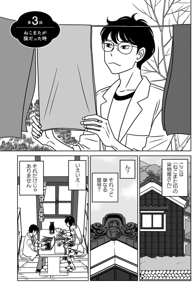 ねこまたが猫だった時