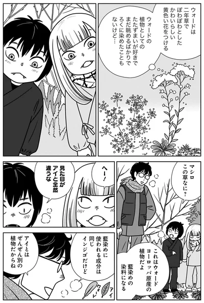 マシロこの草なに？