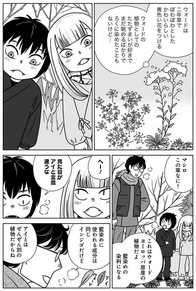 マシロこの草なに？